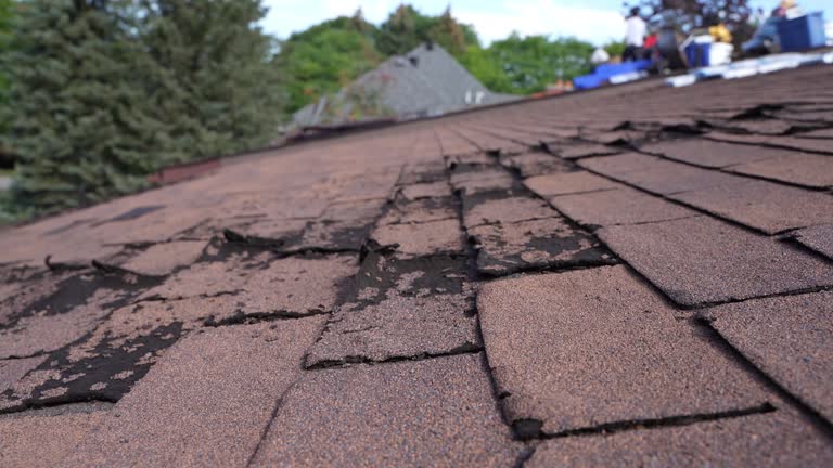 Best Wood Shake Roofing  in North Plymouth, MA